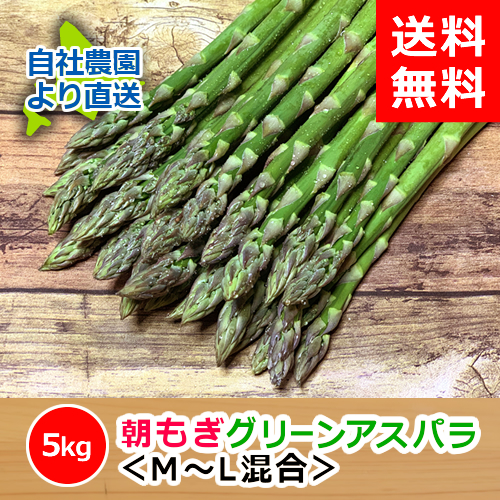 北海道 アスパラガス 野菜 きのこ - その他の野菜・きのこの人気商品 ...
